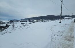 Teren extravilan Dealul Jelnei