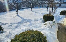 Casa de vanzare, 3 dormitoare, 10 ari teren