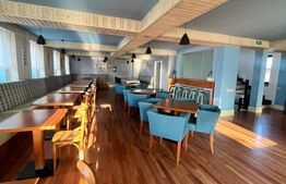 Investiție Premium: Bistro, Casă și Birouri în Centrul Istoric