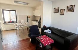 Investiție Premium: Bistro, Casă și Birouri în Centrul Istoric