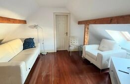 Investiție Premium: Bistro, Casă și Birouri în Centrul Istoric