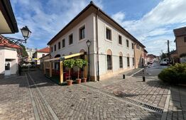 Investiție Premium: Bistro, Casă și Birouri în Centrul Istoric
