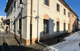 Investiție Premium: Bistro, Casă și Birouri în Centrul Istoric