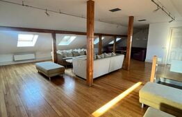 Investiție Premium: Bistro, Casă și Birouri în Centrul Istoric