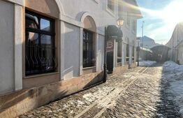 Investiție Premium: Bistro, Casă și Birouri în Centrul Istoric