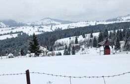 Teren de vanzare, Piatra Fantanele