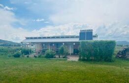 De vanzare 2 case superbe Livezile!