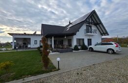 De vanzare 2 case superbe Livezile!