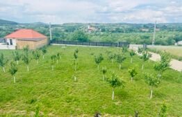 De vanzare 2 case superbe Livezile!