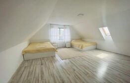 De vanzare 2 case superbe Livezile!