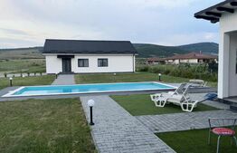 De vanzare 2 case superbe Livezile!