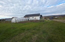 De vanzare 2 case superbe Livezile!