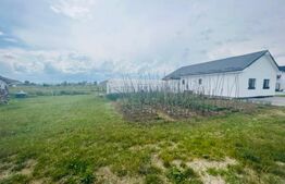 De vanzare 2 case superbe Livezile!