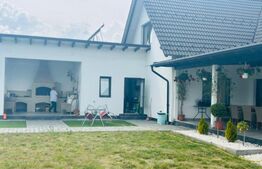 De vanzare 2 case superbe Livezile!