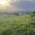 Teren de vânzare Unirea - 186634TV - Poza 1 din 3 | BLITZ Bistriţa | Poza3