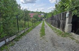 Casa D+P+E, pe Aleea Trifoiului, zona linistita!