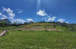 Teren 1400 mp – Viitor Intravilan, Zona Drumul Tarpiului - LEONI