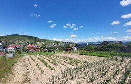 Teren 1400 mp – Viitor Intravilan, Zona Drumul Tarpiului - LEONI