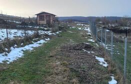 Teren 1400 mp – Viitor Intravilan, Zona Drumul Tarpiului - LEONI