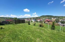 Teren 1400 mp – Viitor Intravilan, Zona Drumul Tarpiului - LEONI