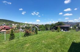 Teren 1400 mp – Viitor Intravilan, Zona Drumul Tarpiului - LEONI