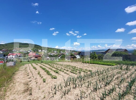 Teren de vânzare Centura - 186645TV | BLITZ Bistriţa | Poza4