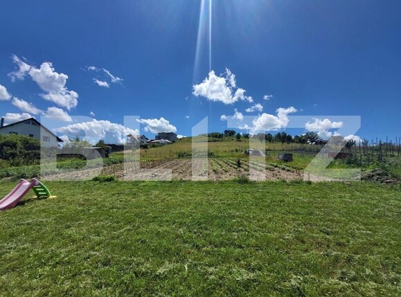 Teren de vânzare Centura - 186645TV | BLITZ Bistriţa | Poza3