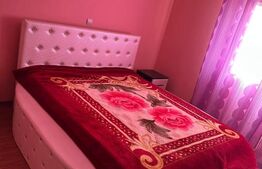 Casa 5 camere, 10 ari - Josenii Bargaului