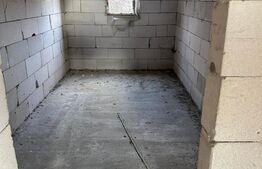 Casa 5 camere, 10 ari - Josenii Bargaului