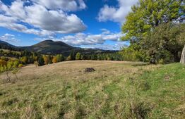 Teren 1,5 hectare - la Piatra Fantanele
