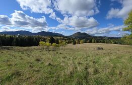 Teren 1,5 hectare - la Piatra Fantanele