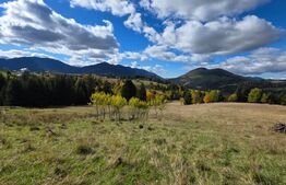 Teren 1,5 hectare - la Piatra Fantanele