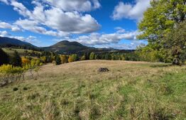 Teren 1,5 hectare - la Piatra Fantanele