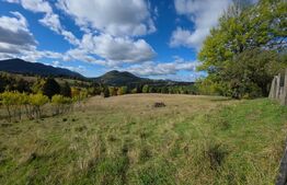 Teren 1,5 hectare - la Piatra Fantanele