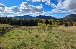 Teren 1,5 hectare - la Piatra Fantanele