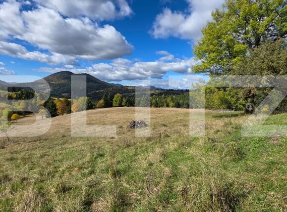 Teren de vânzare Sud-Est - 186722TV | BLITZ Bistriţa | Poza6