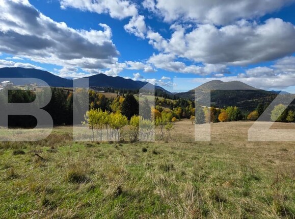 Teren de vânzare Sud-Est - 186722TV | BLITZ Bistriţa | Poza5