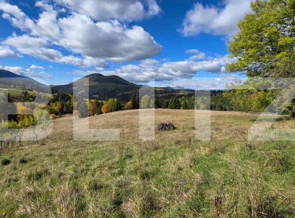 Teren de vânzare Sud-Est - 186722TV | BLITZ Bistriţa | Poza2