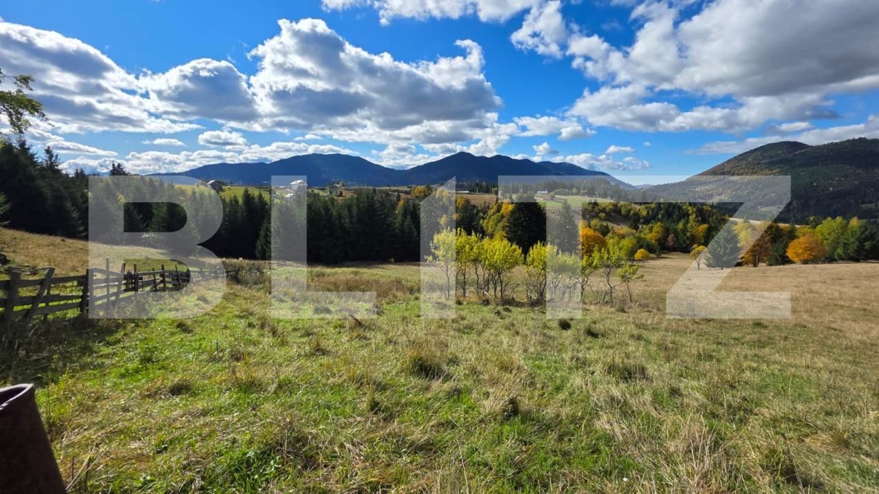 Teren de vânzare Sud-Est - 186722TV | BLITZ Bistriţa | Poza4