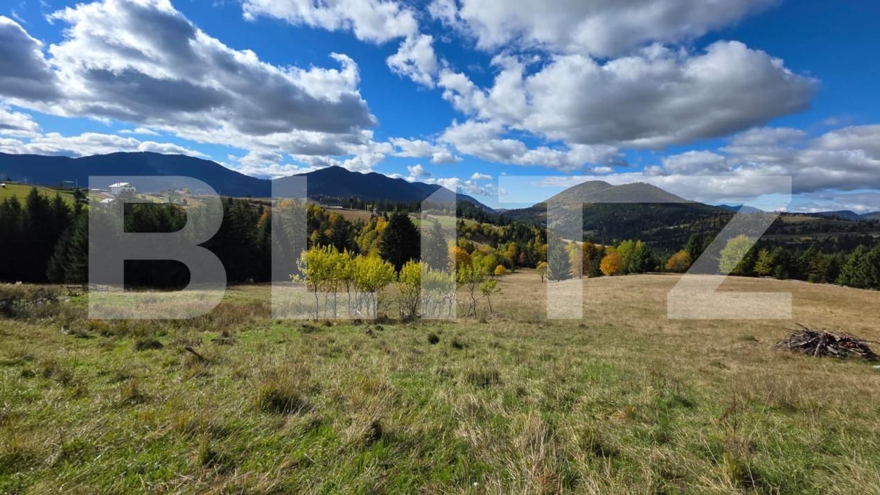 Teren de vânzare Sud-Est - 186722TV | BLITZ Bistriţa | Poza5