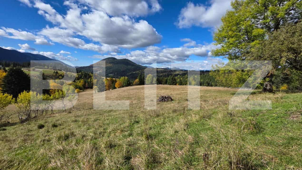 Teren de vânzare Sud-Est - 186722TV | BLITZ Bistriţa | Poza2