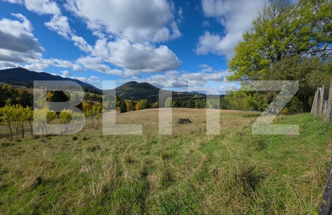 Teren de vânzare Sud-Est - 186722TV | BLITZ Bistriţa | Poza3