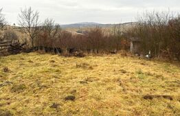 Teren extravilan de vanzare, Valea Budavului 