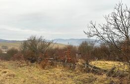 Teren extravilan de vanzare, Valea Budavului 