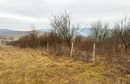 Teren extravilan de vanzare, Valea Budavului 