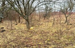 Teren extravilan de vanzare, Valea Budavului 