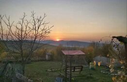 Teren extravilan de vanzare, Valea Budavului 