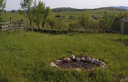 Teren extravilan de vanzare, Valea Budavului 