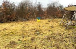 Teren extravilan de vanzare, Valea Budavului 