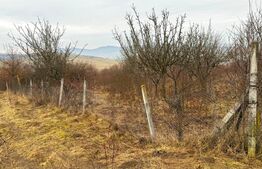 Teren extravilan de vanzare, Valea Budavului 
